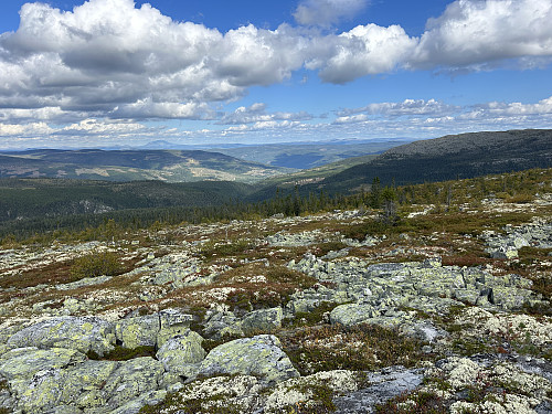 Utsikt mot NØ tilbake mot Østerdalen