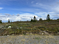 ØyvindBergkvam_20241113_6734a68e6b129.jpg