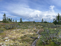 ØyvindBergkvam_20241113_6734a6931a8ae.jpg