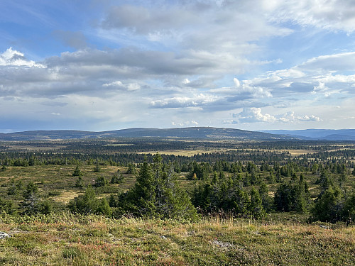 Utsikt mot Nevelfjell
