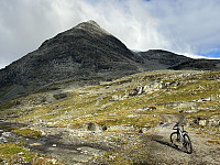 ØyvindBergkvam_20241113_6734b4d4f2f28.jpg