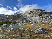ØyvindBergkvam_20241113_6734b4dda9b93.jpg