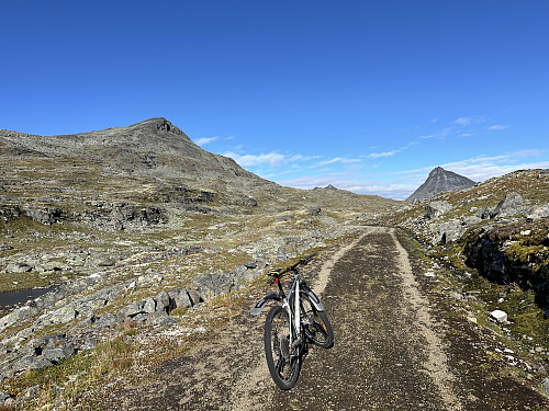 Jeg tok mange fotostopp opp bakkene tilbake mot Leirvassbu;)