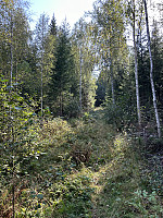 ØyvindBergkvam_20241115_673783f064475.jpg