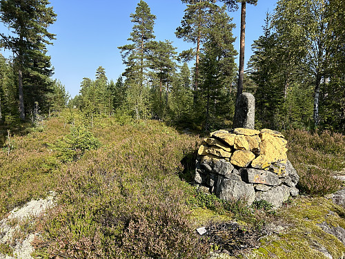 Riksrøys 65 A