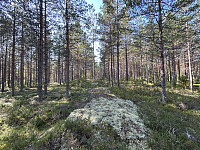 ØyvindBergkvam_20241115_67378404a11df.jpg
