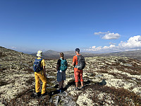 ØyvindBergkvam_20241116_6738bc757b473.jpg