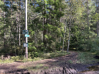 ØyvindBergkvam_20241116_6738c4a613ea5.jpg