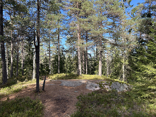 Skysethøgda
