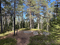 ØyvindBergkvam_20241116_6738c4b82cc24.jpg