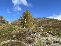 ØyvindBergkvam_20241116_6738cfe18861a.jpg