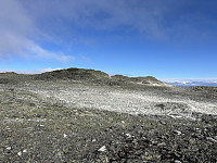 ØyvindBergkvam_20241116_6738cff290d61.jpg