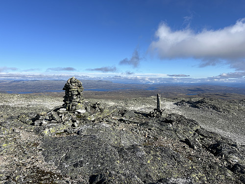 Blåbergi 1802 moh