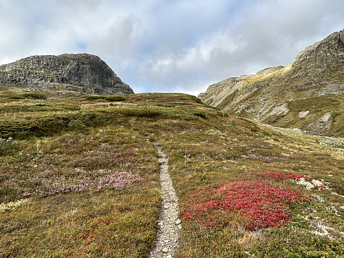 På vei ned stien på vestsiden av elva