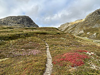ØyvindBergkvam_20241116_6738d00e7ff51.jpg