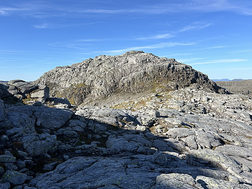 Toppen med det artige navnet " Aust for Store Blåfjellvatnet"
