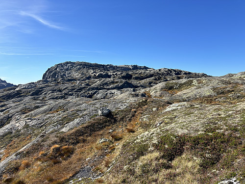 Omtrent halvveis til toppen