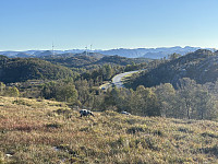 ØyvindBergkvam_20241117_6739f99fcfbb8.jpg