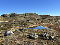 ØyvindBergkvam_20241117_673a1e82c6df8.jpg