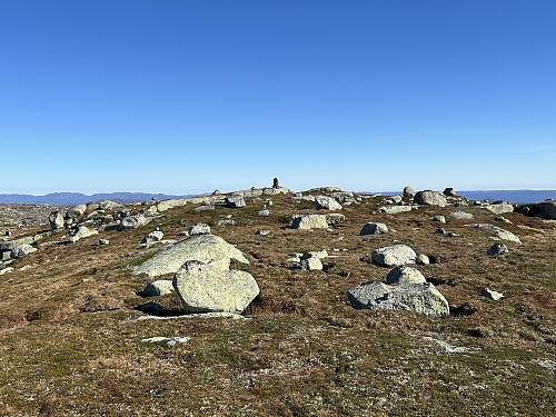 Reinshornheii i Bygland