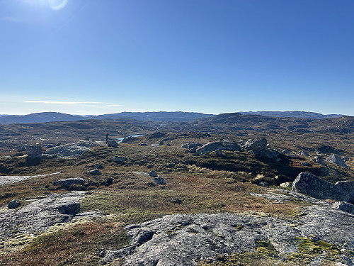 Speiding etter fugl fra toppen "Sør for Sandvatnet "