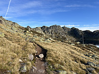 ØyvindBergkvam_20241118_673b29a998b33.jpg