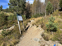 ØyvindBergkvam_20241118_673b74eb28861.jpg