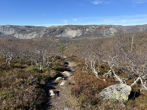 Her har jeg akkurat kommet meg gjennom skogen. Utsikt mot Hovdefjellet i nordvest.