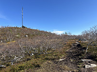 ØyvindBergkvam_20241118_673b74f801e88.jpg