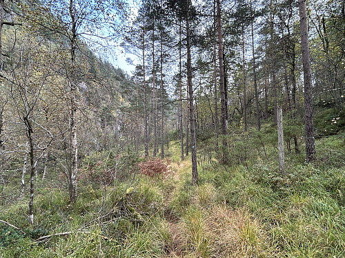 Det er litt gress å subbe i underveis langs stien. Heldigvis så jeg ikke noe til flått verken på turen eller etterpå:)