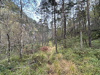ØyvindBergkvam_20241118_673b7be494504.jpg