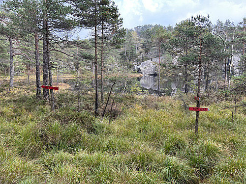 Stidele ved Beiskedalstjødna