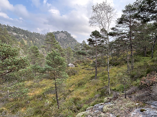 Storevarden sett fra stien oppover mot Nonsfjellet