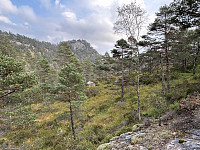 ØyvindBergkvam_20241118_673b7bfa5e7be.jpg