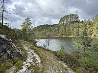 ØyvindBergkvam_20241118_673b8942afe54.jpg