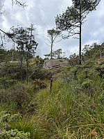 ØyvindBergkvam_20241118_673b894a464c2.jpg