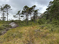 ØyvindBergkvam_20241118_673b895233f46.jpg