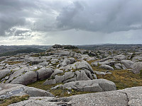 ØyvindBergkvam_20241118_673b895c7c18b.jpg