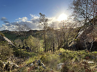ØyvindBergkvam_20241118_673b91281ee4d.jpg