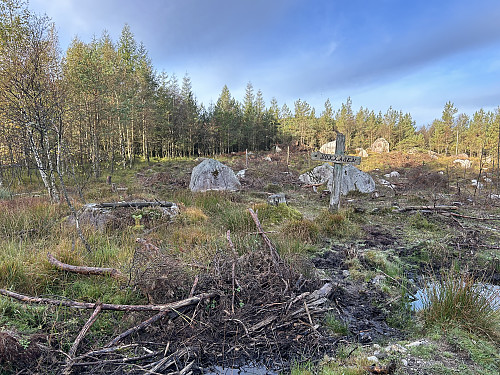 Her starter den merkede stien opp mot Nokkåsen. På grunn av hogst akkurat ved starten kan det være litt vanskelig å se hvor stien begynner.