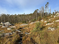 ØyvindBergkvam_20241119_673c3e81b0707.jpg