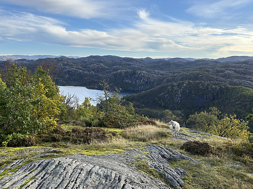 Utsikt mot nordøst fra Nokkåsen