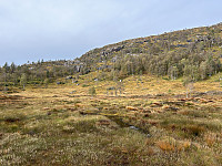 ØyvindBergkvam_20241119_673c53b06eda1.jpg