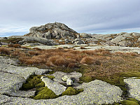 ØyvindBergkvam_20241119_673c53bb596be.jpg