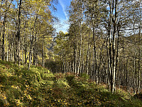 ØyvindBergkvam_20241119_673c53f0c8a68.jpg