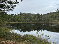 ØyvindBergkvam_20241119_673c5c2517b2f.jpg