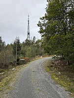 ØyvindBergkvam_20241119_673c5c2ee13a1.jpg