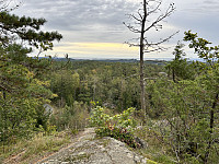 ØyvindBergkvam_20241119_673c5c366500a.jpg