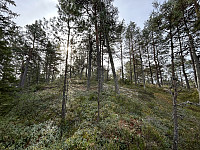 ØyvindBergkvam_20241119_673c5fbe6e6c1.jpg