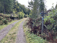 ØyvindBergkvam_20241119_673c669ed4b16.jpg